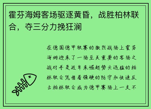 霍芬海姆客场驱逐黄昏，战胜柏林联合，夺三分力挽狂澜
